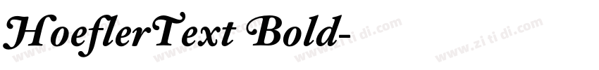HoeflerText Bold字体转换